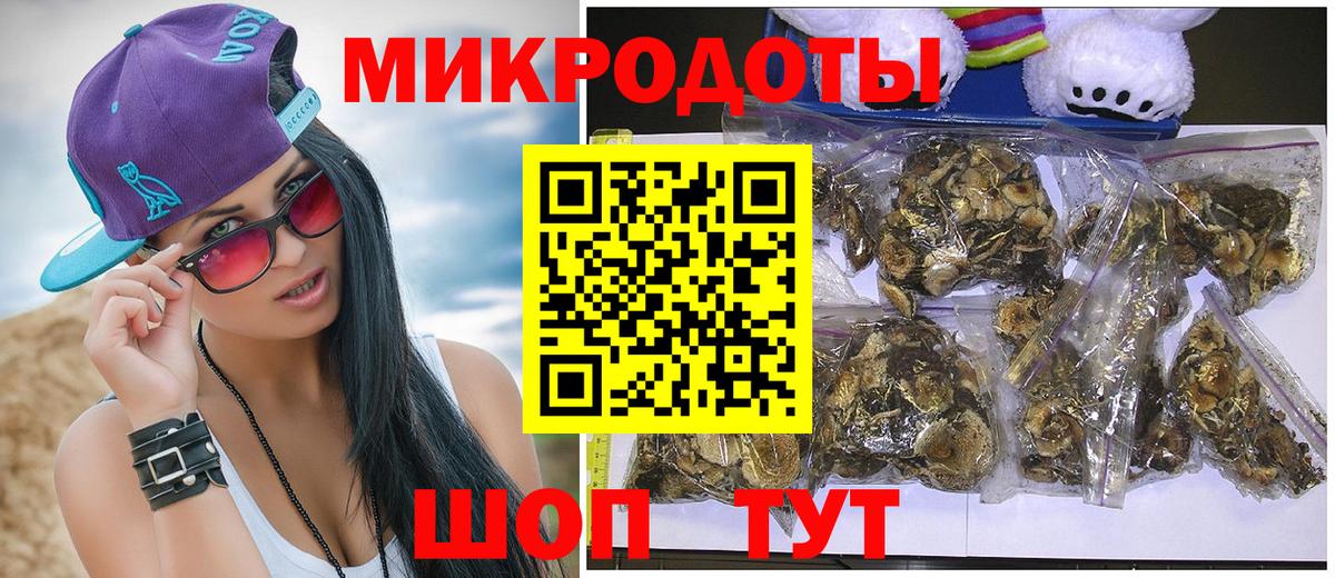 Галлюциногенные грибы GOLDEN TEACHER  как найти закладки  Вход с VPN  Астрахань  Галлюциногенные грибы Psilocybine cubensis 
